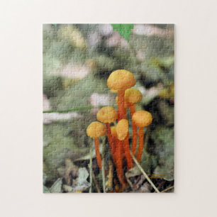 Kleine Oranje wilde paddenstoelen Natuur Legpuzzel