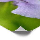 Kleine Paarse wilde orchidebloem Poster (Hoek)