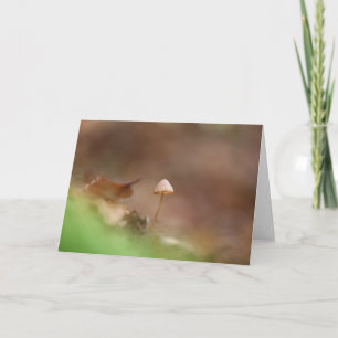 Kleine paddenstoel Natuur Foto Kaart