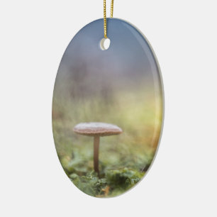 Kleine paddenstoel Natuur Foto Keramisch Ornament