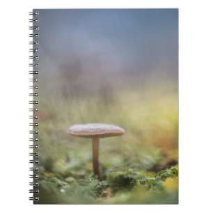 Kleine paddenstoel Natuur Foto Notitieboek