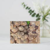 Kleine paddenstoelen briefkaart (Staand voorkant)