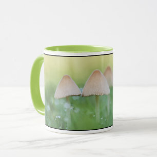 Kleine paddenstoelen Natuur Foto Mok