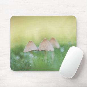 Kleine paddenstoelen Natuur Foto Muismat