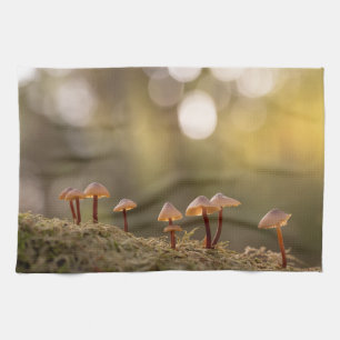 Kleine paddenstoelen Natuur Foto Theedoek