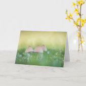 Kleine paddestoelen natuurfoto kaart (Gele Bloem)