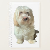 Kleine pan-Havanese hond Planner (Voorkant)
