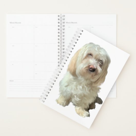 Kleine pan-Havanese hond Planner (Display)