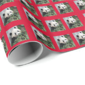 Kleine papieren rode achtergrond met kleine pannen cadeaupapier (Rol Hoek)