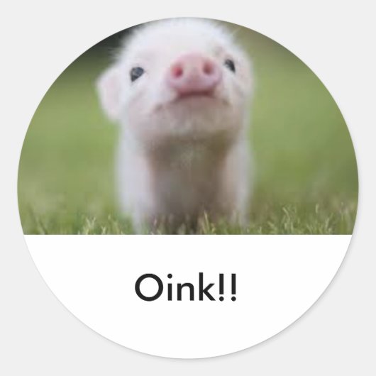 Kleine piggy sticker (Voorkant)