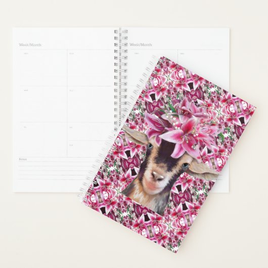 Kleine Planner Lily de Geit (Display)