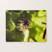 Kleine pompspin legpuzzel (Horizontaal)