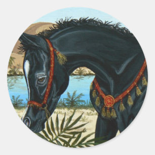 Kleine Prins Arabisch paardenveulen sticker