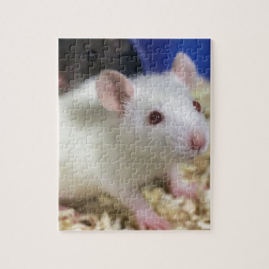 Kleine rat legpuzzel (Verticaal)