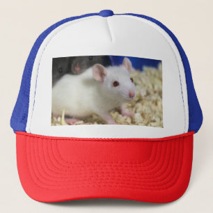Kleine rat trucker pet