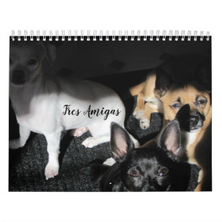 Kleine reddingshonden 12-maands kalender