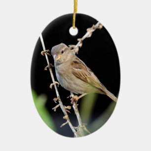 kleine reserveband keramisch ornament