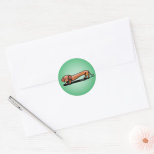Kleine rode doxie-stickers ronde sticker