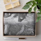 Kleine rode mantel ontmoet oude vader wolf tissuepapier (Geschenk)