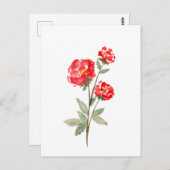 Kleine rode rozenbloem briefkaart (Voorkant / Achterkant)