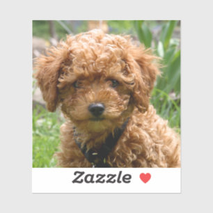 Kleine rode Speelgoed Poodle Puppy Stickers