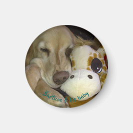 Kleine, ronde Barticus en Giraffe Magnet Magneet