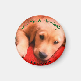 Kleine, ronde Golden Retriever Puppy Magnet Magneet