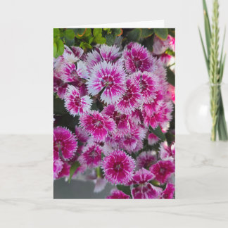 Kleine Roze Bloemen Lege Notitiekaart
