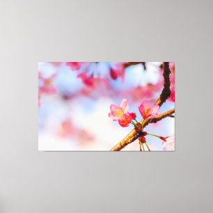 Kleine Roze Kersenbloesem Schoonheden In De Lente Canvas Afdruk
