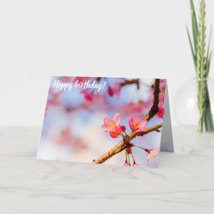 Kleine roze Sakura-schoonheid in Springtime Kaart