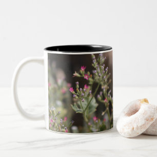 Kleine roze wilde bloemen Coachella Valley Wildlif Tweekleurige Koffiemok
