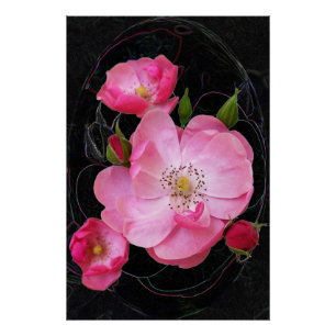 kleine rozenbuis opent perfect poster