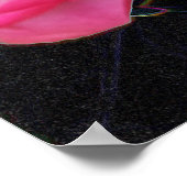 kleine rozenbuis opent poster (Hoek)