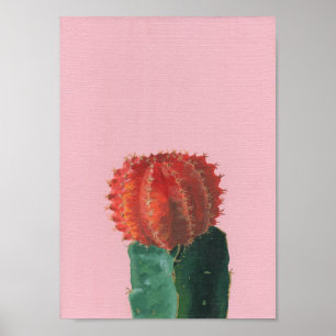 Kleine Ruby Ball Cactus Acrylverf Poster