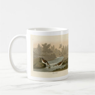 Kleine Sandpiper uit Audubon's Birds of America Koffiemok