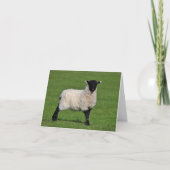 Kleine Schapen Custom Dank u kaart (Voorkant)