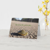 Kleine schildpad laat verjaardagskaart kaart (Gele Bloem)