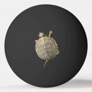 Kleine schildpad op zwart pingpongballen
