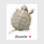 Kleine schildpad (schildpad) Foto Sticker (Vel)