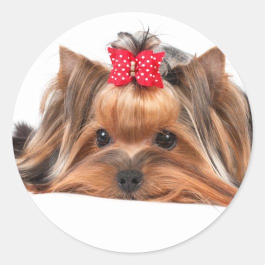 Kleine schoonheid ronde sticker (Voorkant)