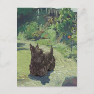 Kleine Scottie in de tuin Briefkaart