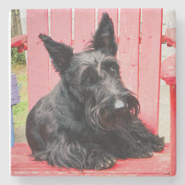 Kleine Scottie in een grote rode stoel Stenen Onderzetter