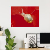Kleine slak poster (Thuiskantoor)
