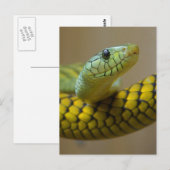 Kleine snuitjes briefkaart (Voorkant / Achterkant)