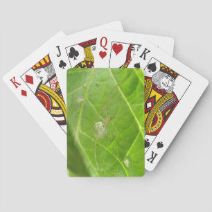 Kleine Spider-speelkaarten Speelkaarten