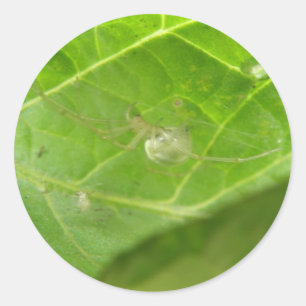 Kleine spinstickers ronde sticker