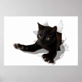 kleine springpannen poster