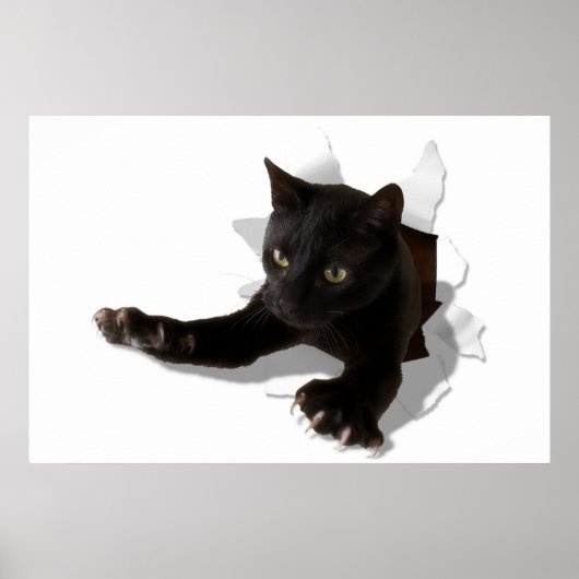 kleine springpannen poster (Voorkant)