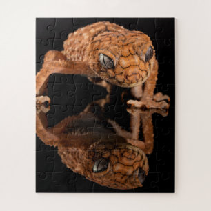 Kleine staaf van de hagedis met bezinning legpuzzel