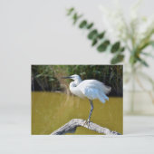 Kleine stekker op tak briefkaart (Staand voorkant)